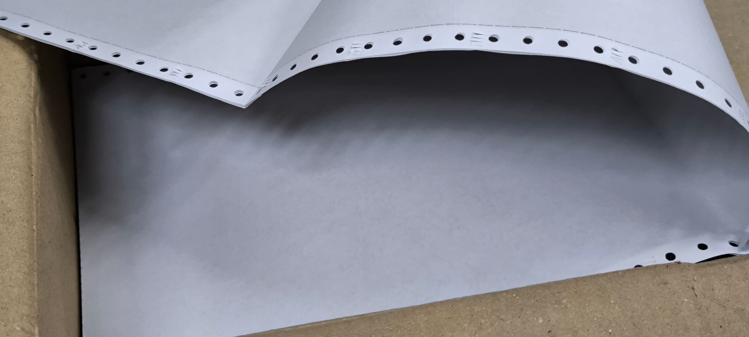 shutterstock_2623512361